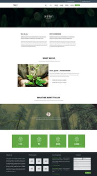 企業(yè)官網(wǎng)設(shè)計(jì)新視角 從“我的心情很番茄”到專業(yè)呈現(xiàn)